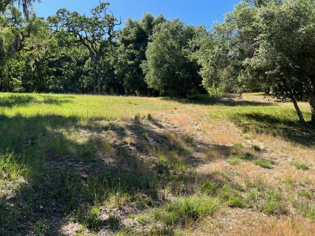 6 Arroyo Sequoia Property Photo 7