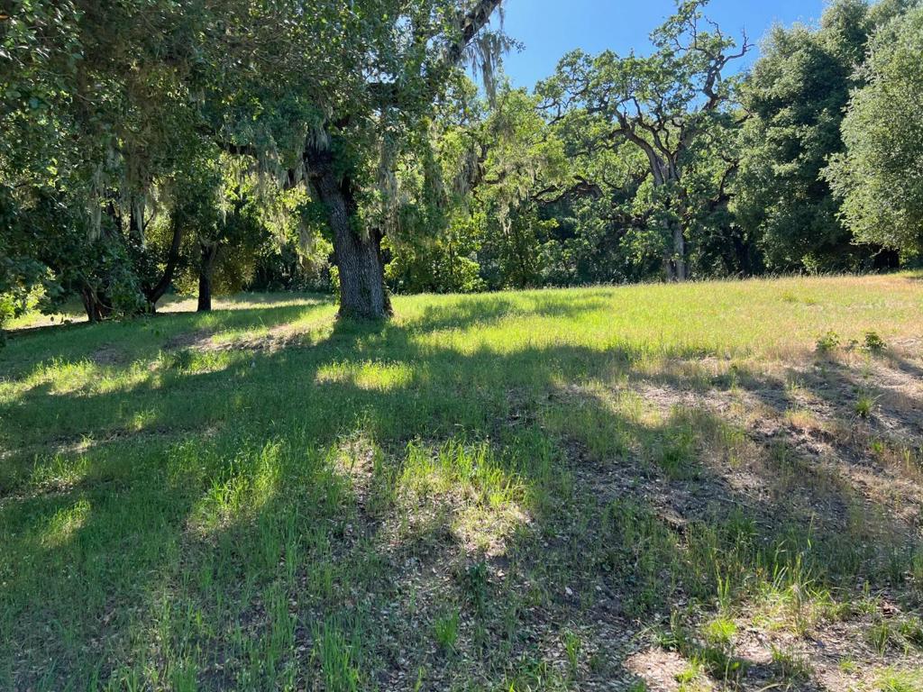 6 Arroyo Sequoia Property Photo 8