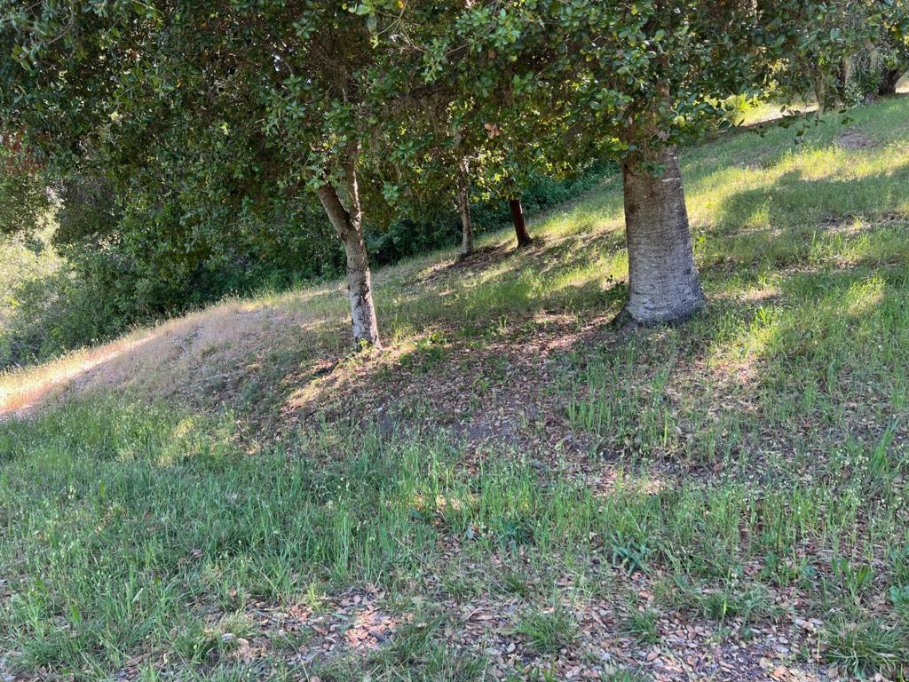 6 Arroyo Sequoia Property Photo 9