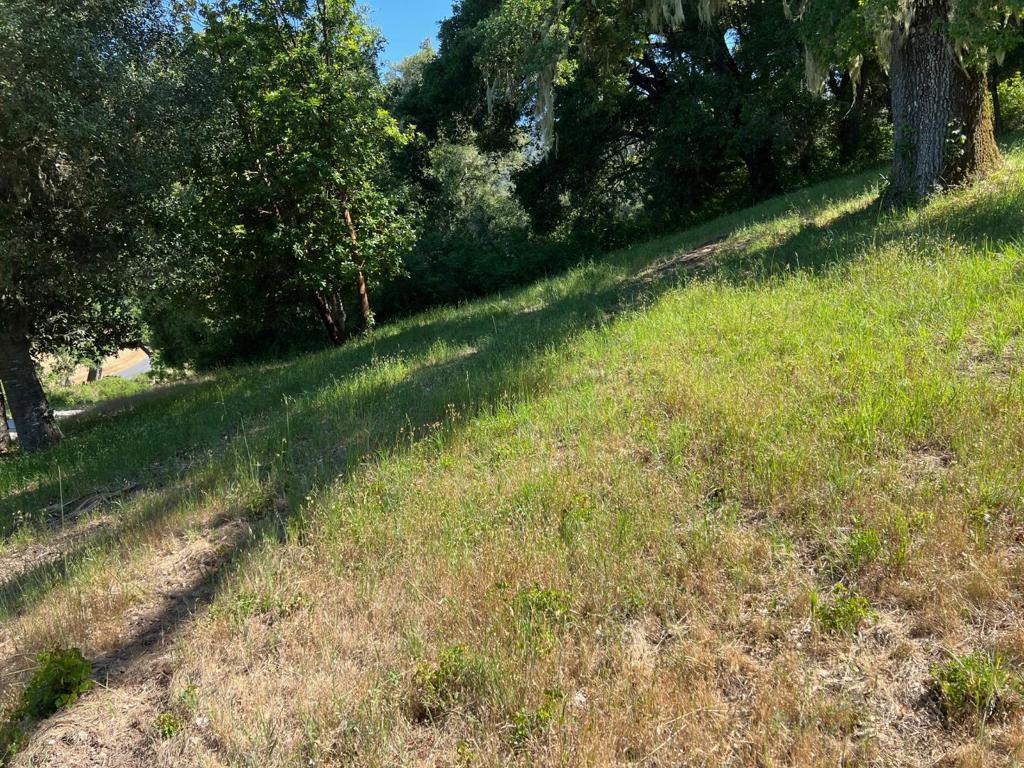 6 Arroyo Sequoia Property Photo 10