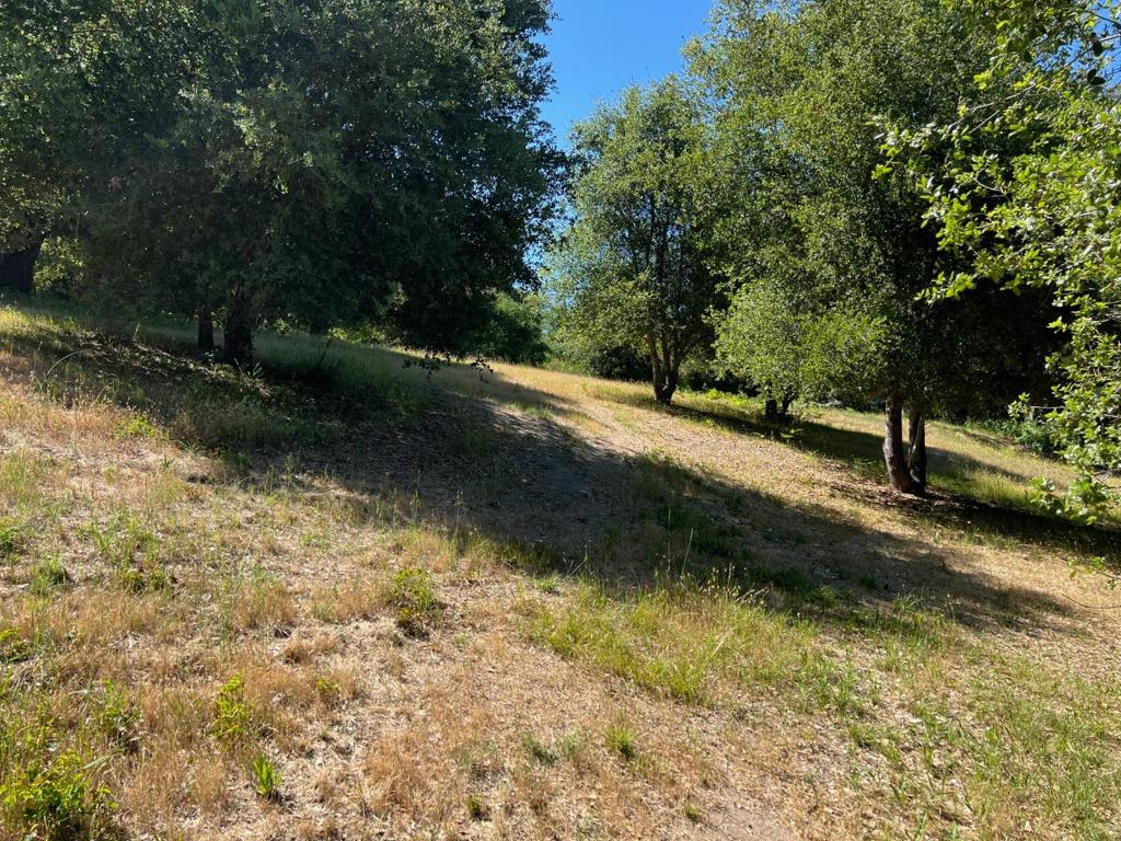 6 Arroyo Sequoia Property Photo 12
