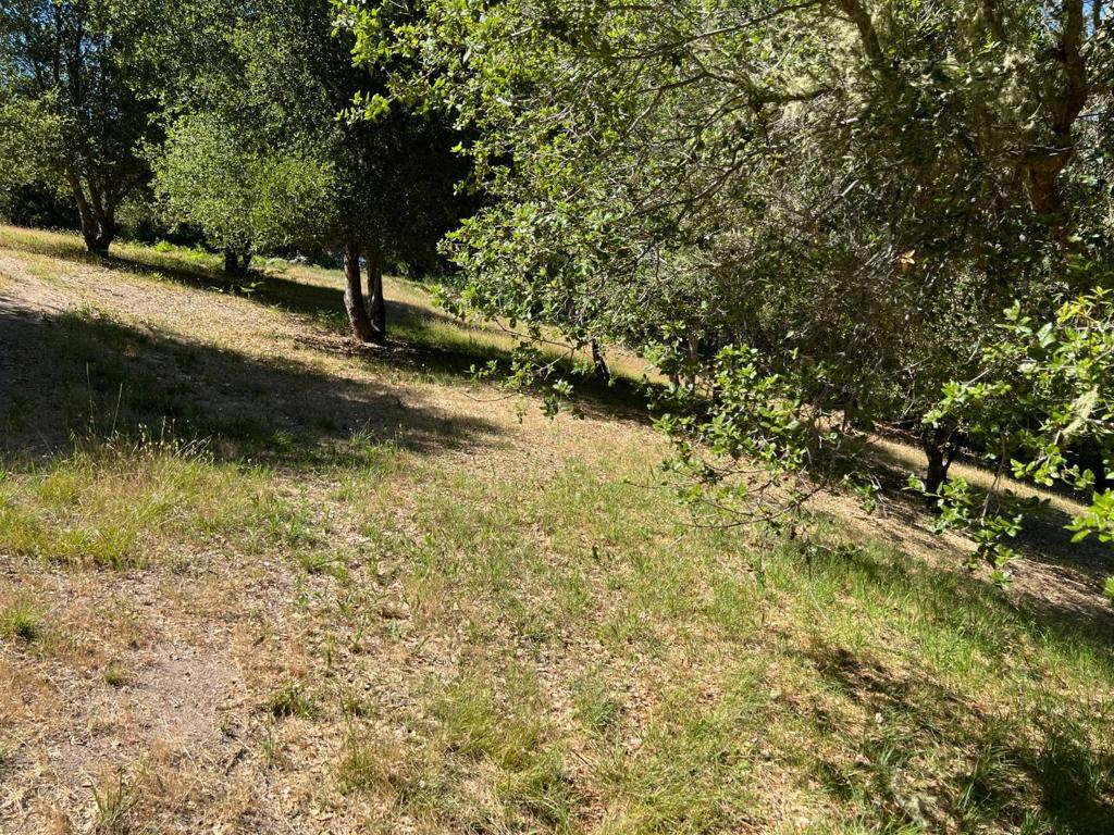 6 Arroyo Sequoia Property Photo 13