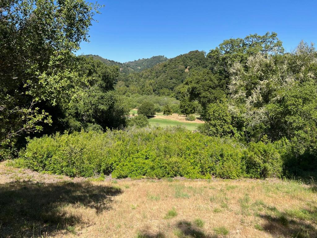 6 Arroyo Sequoia Property Photo 14