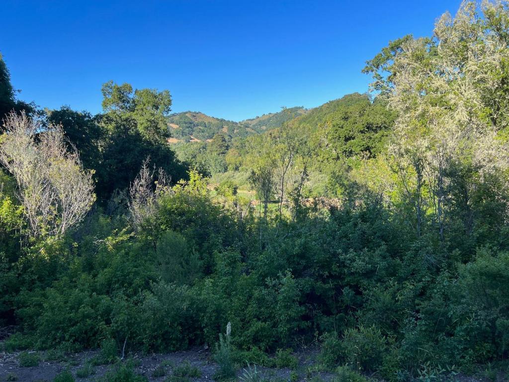 6 Arroyo Sequoia Property Photo 19