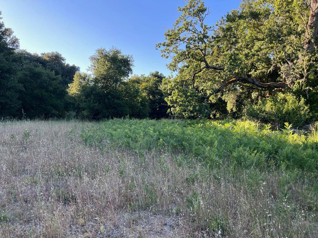 6 Arroyo Sequoia Property Photo 20