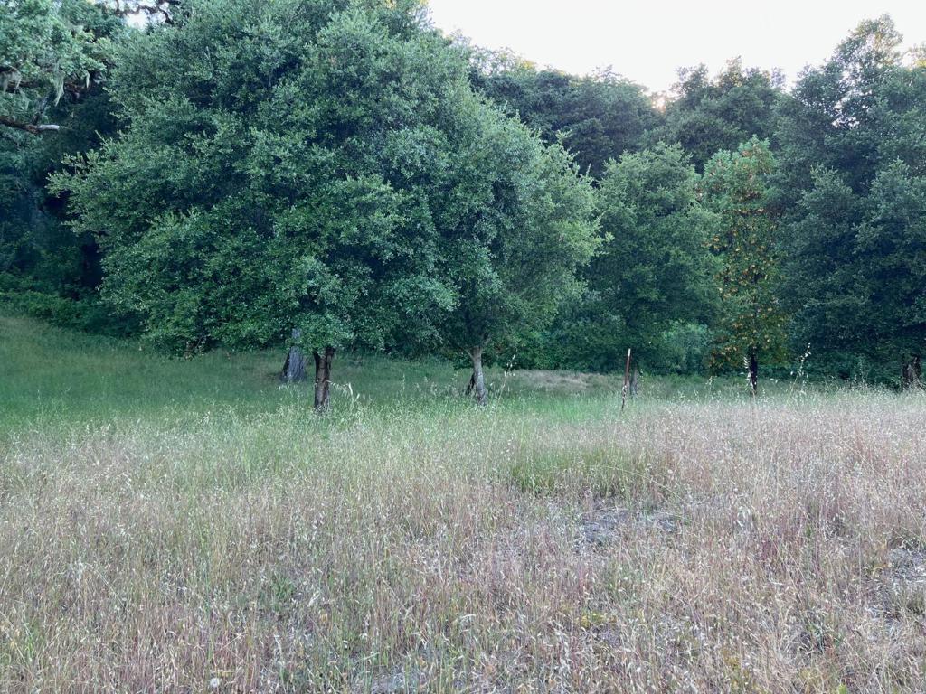 6 Arroyo Sequoia Property Photo 21