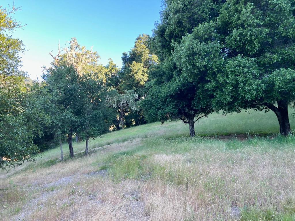 6 Arroyo Sequoia Property Photo 23