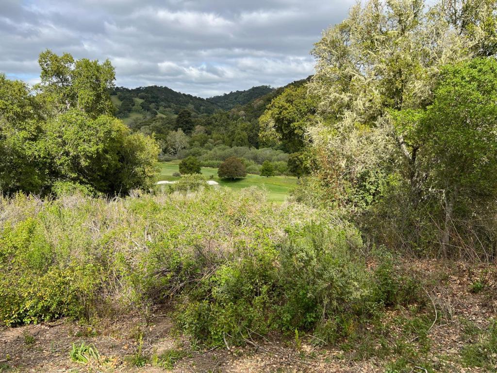 6 Arroyo Sequoia Property Photo 24