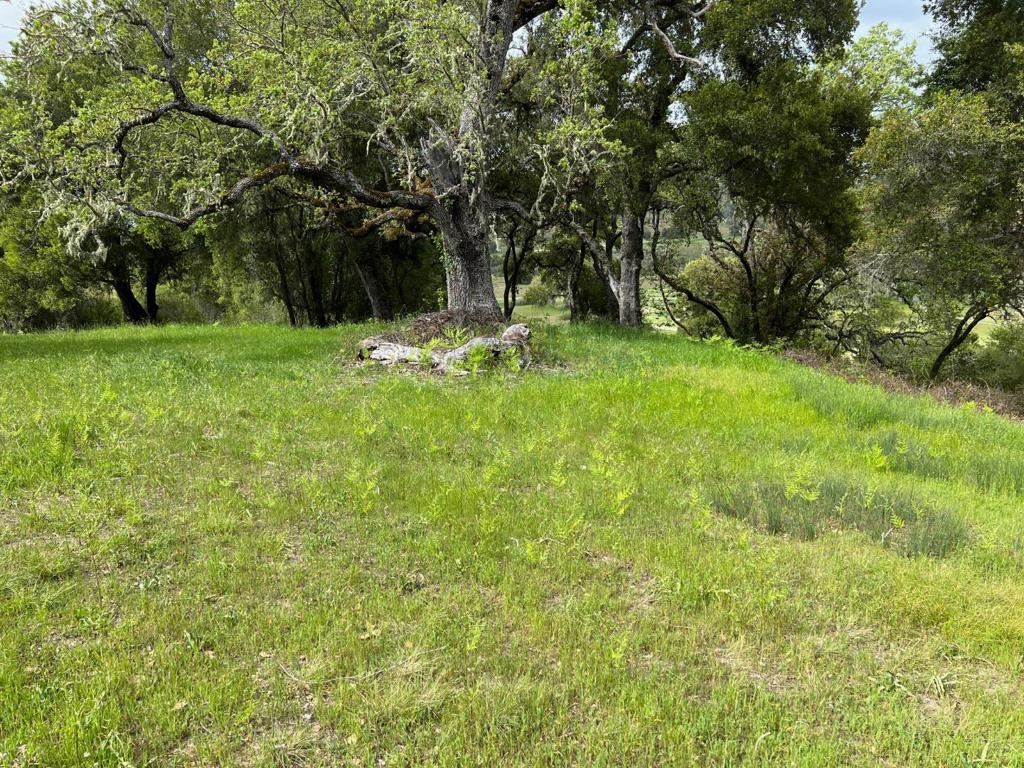 6 Arroyo Sequoia Property Photo 25