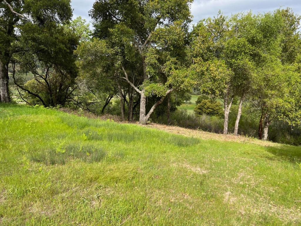 6 Arroyo Sequoia Property Photo 26