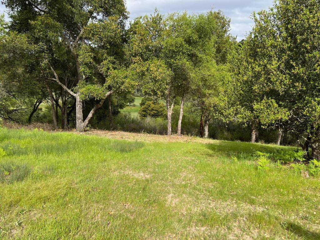 6 Arroyo Sequoia Property Photo 27