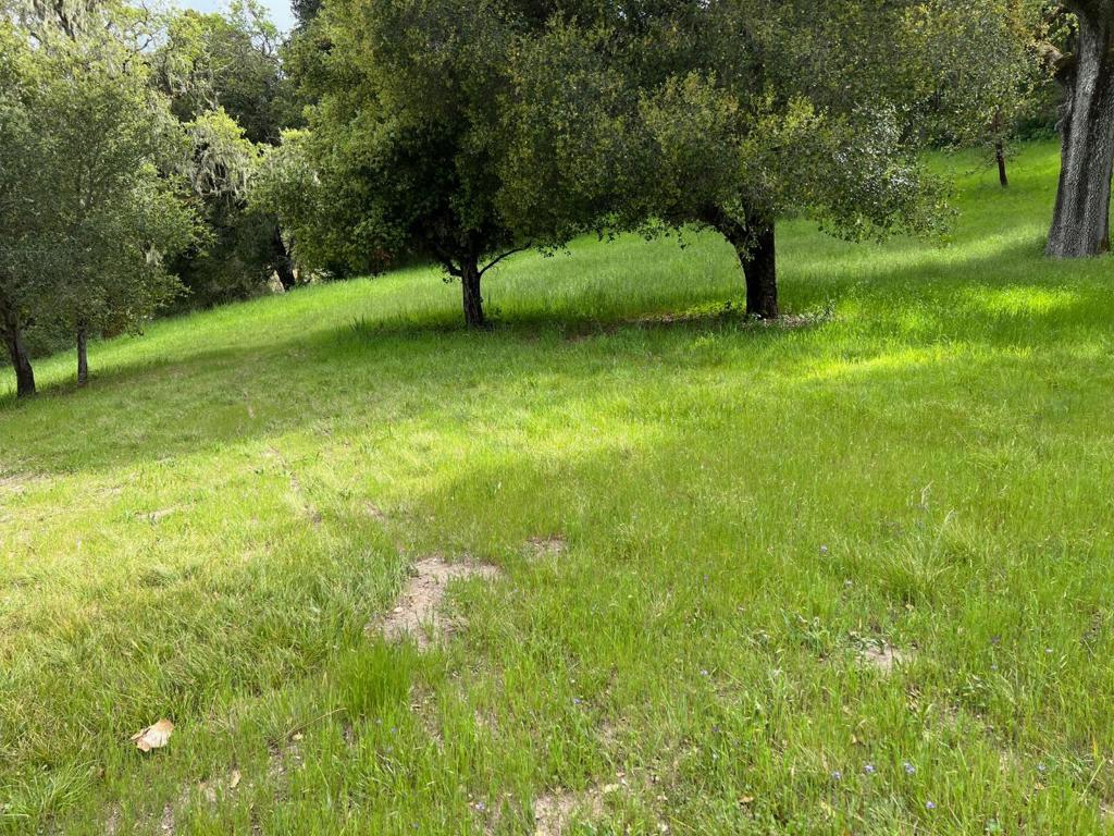 6 Arroyo Sequoia Property Photo 28
