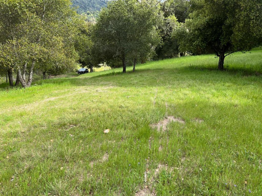6 Arroyo Sequoia Property Photo 29