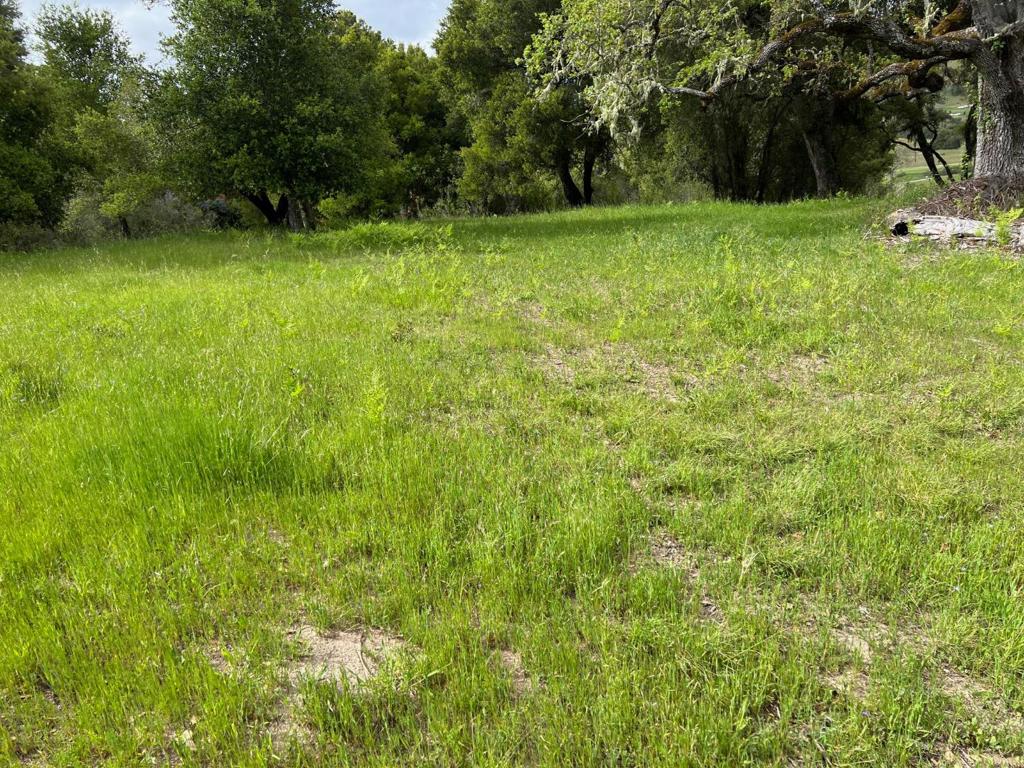 6 Arroyo Sequoia Property Photo 30