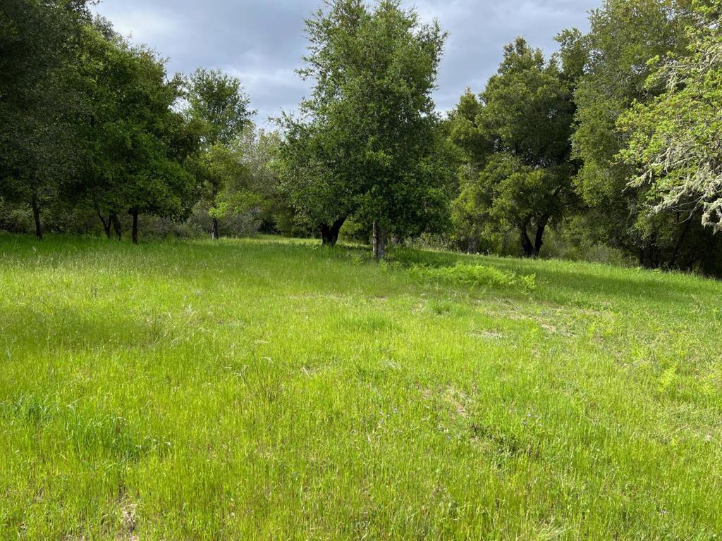 6 Arroyo Sequoia Property Photo 31