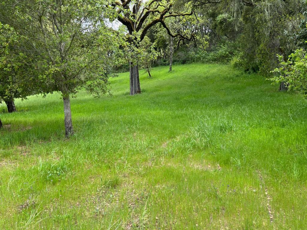 6 Arroyo Sequoia Property Photo 32