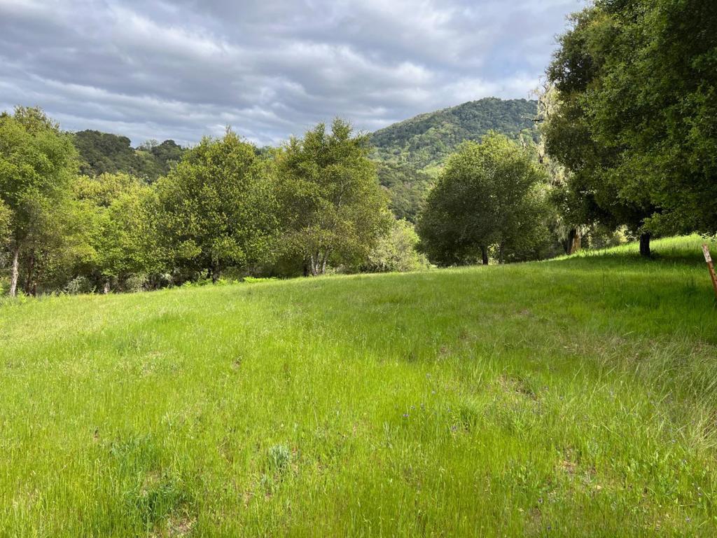 6 Arroyo Sequoia Property Photo 33