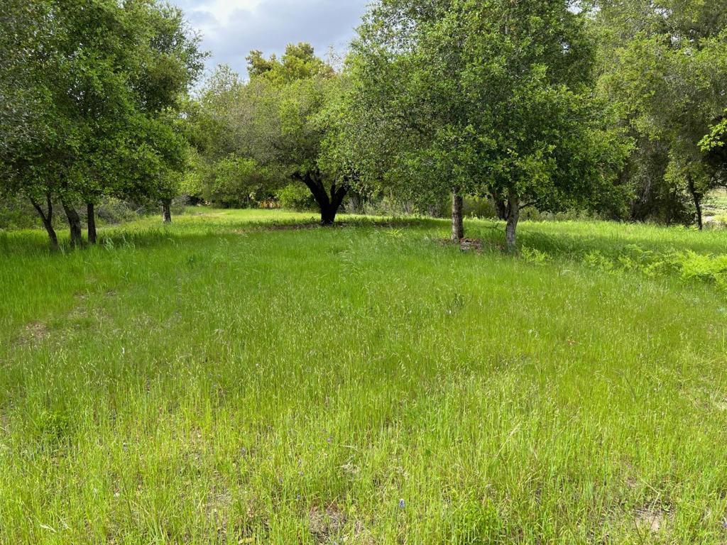 6 Arroyo Sequoia Property Photo 35