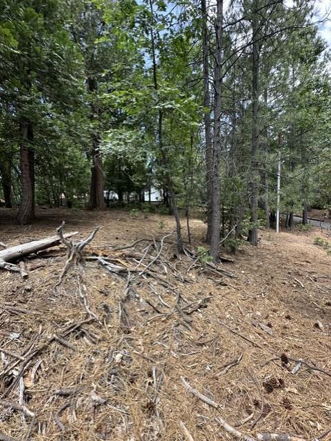 0 Mount Elizabeth Property Photo 5