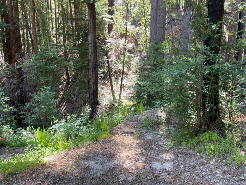506 Sunset Road Property Photo 1