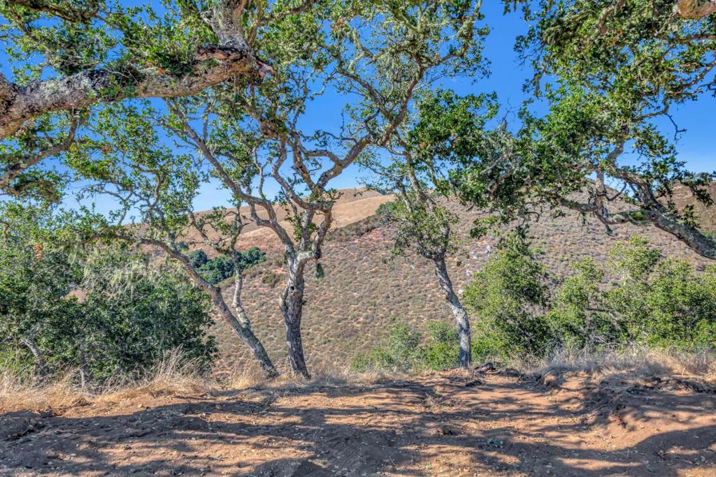 Ranch, Lot#3, 500 El Caminito Property Photo 8