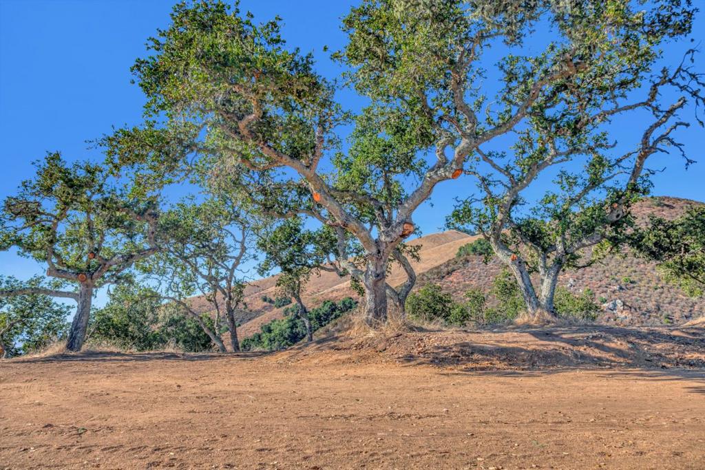 Ranch, Lot#3, 500 El Caminito Property Photo 16