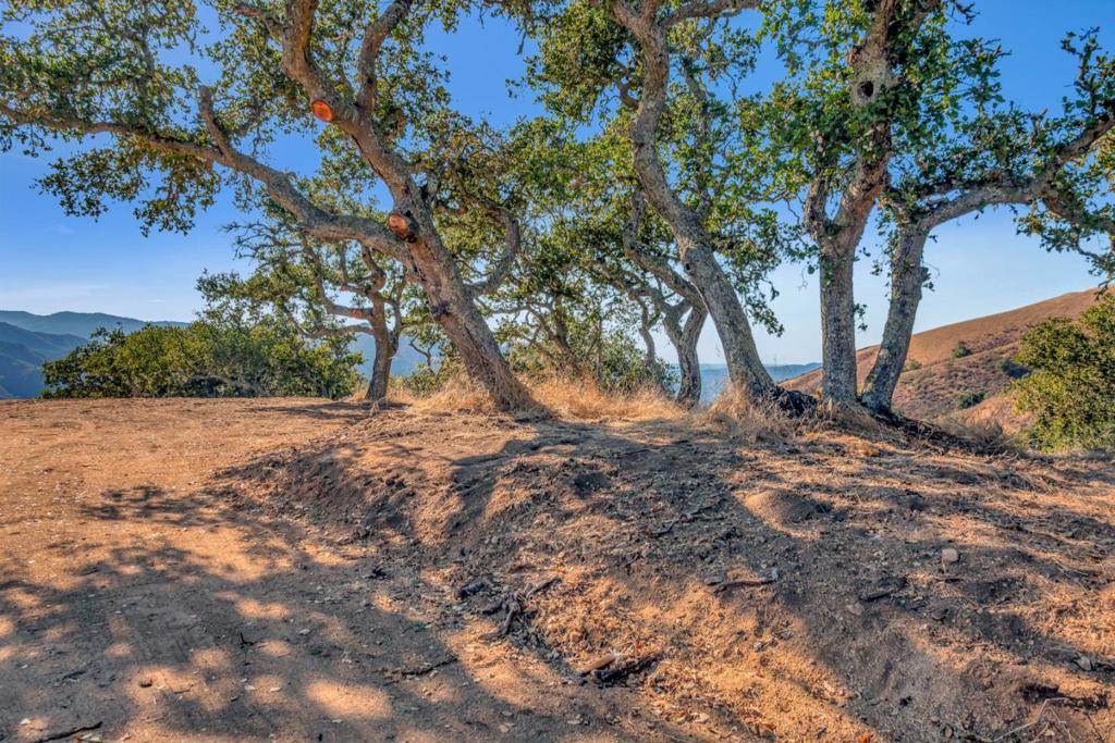 Ranch, Lot#3, 500 El Caminito Property Photo 17