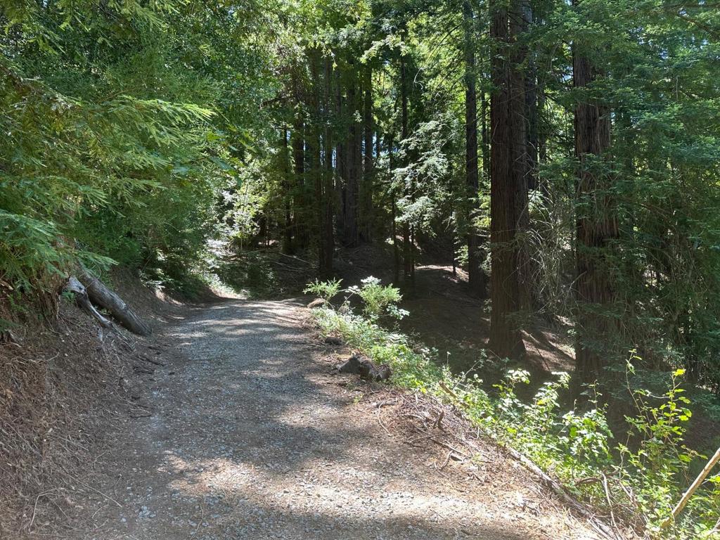 0 Main Boulevard Property Photo 2