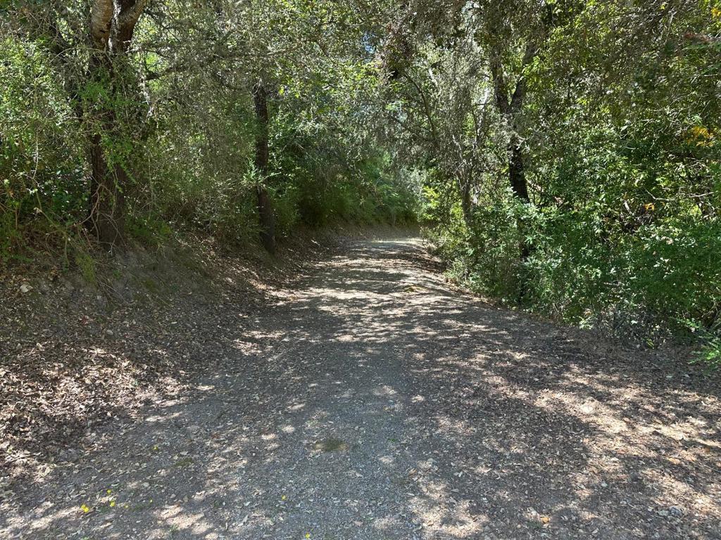 0 Main Boulevard Property Photo 5
