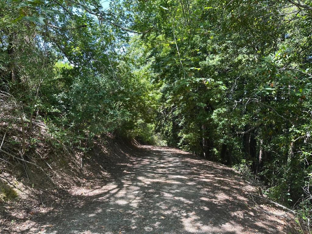 0 Main Boulevard Property Photo 6
