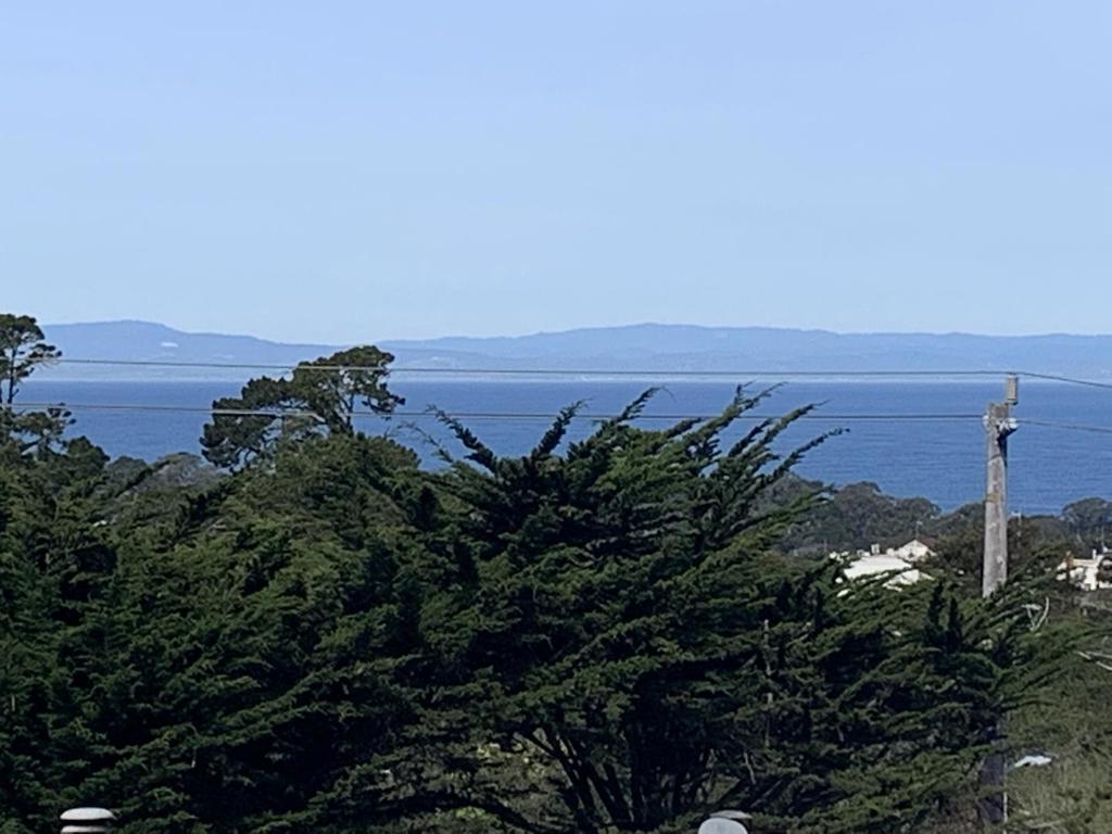 879 Lottie Street Property Photo 4