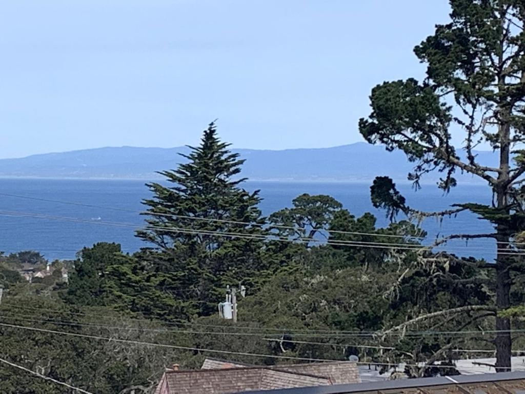 879 Lottie Street Property Photo 5