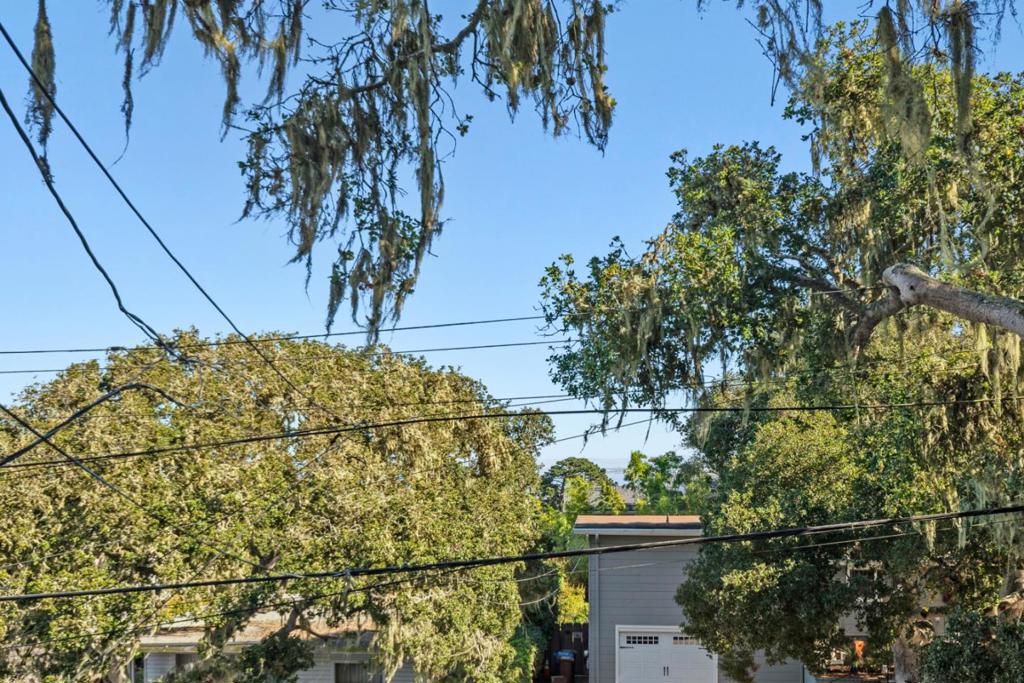 879 Lottie Street Property Photo 31