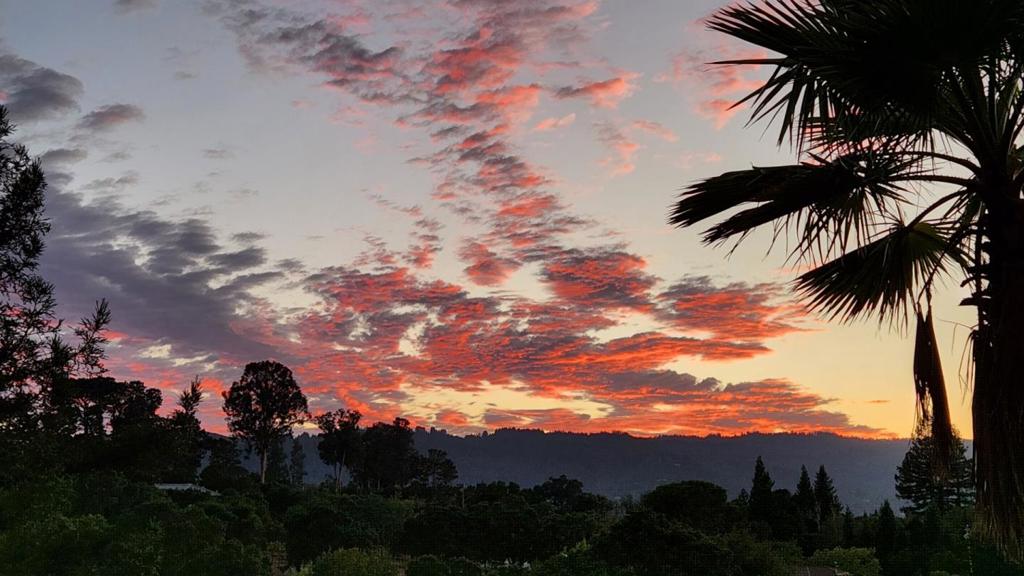 30 Pine Ridge Way Property Photo 12