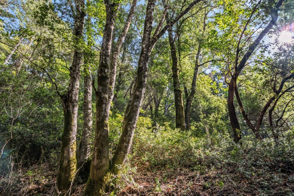 Desear Property Photo 1