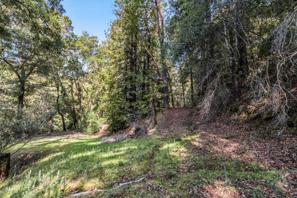 Desear Property Photo 3