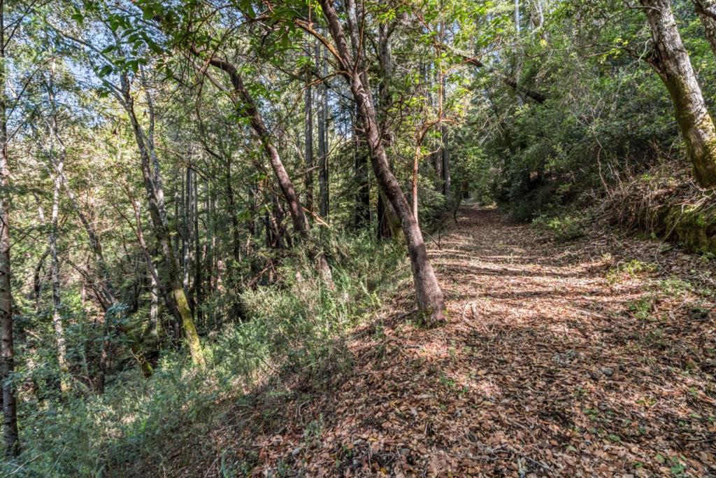 Desear Property Photo 4