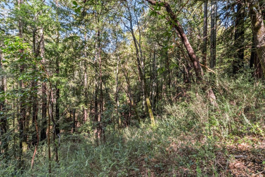 Desear Property Photo 5