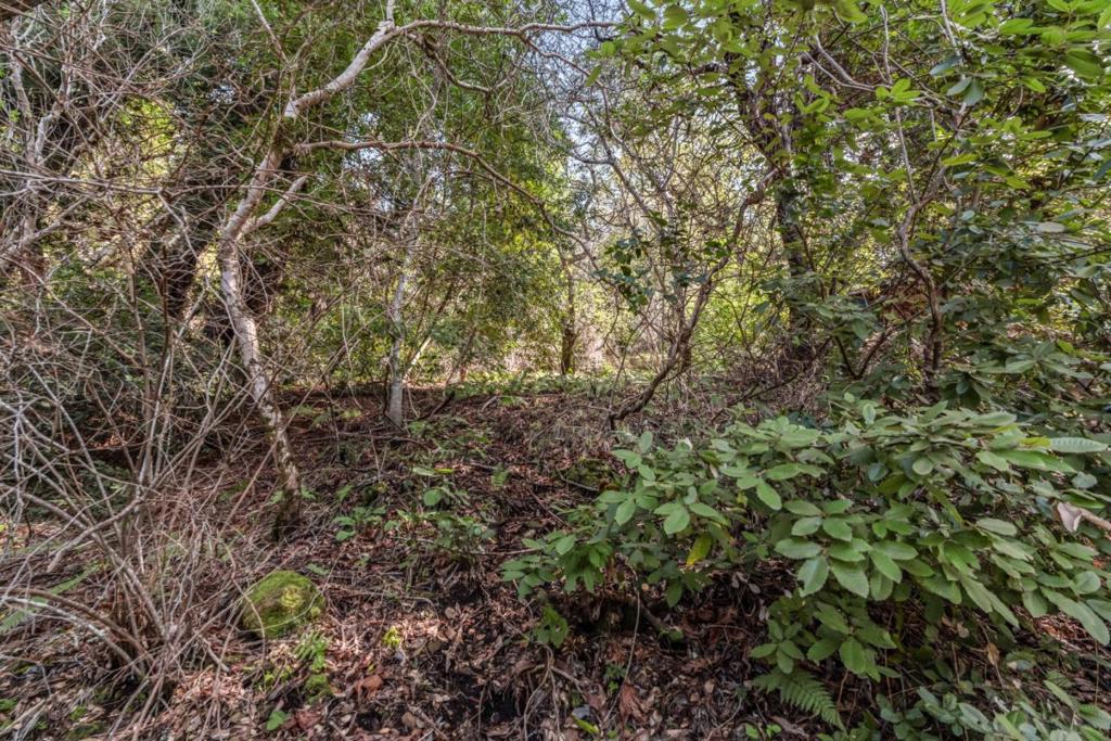 Lakeview Avenue Property Photo 6