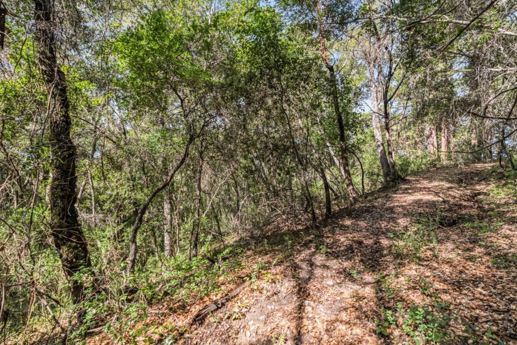 Madrone Avenue Property Photo 1
