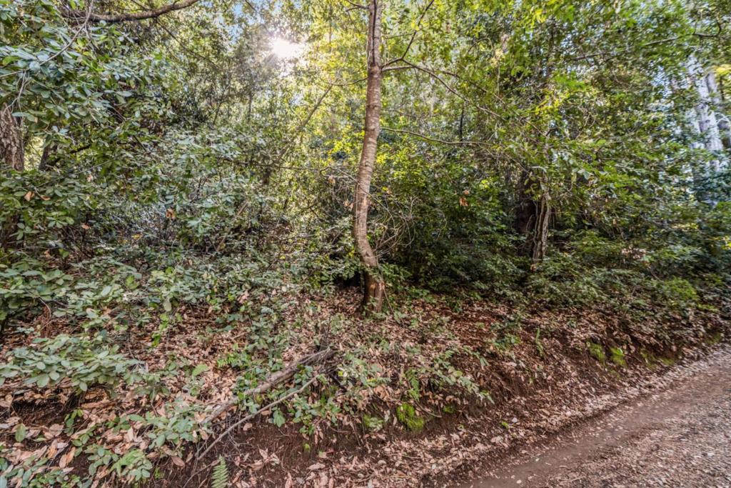 Vera Avenue Property Photo 2