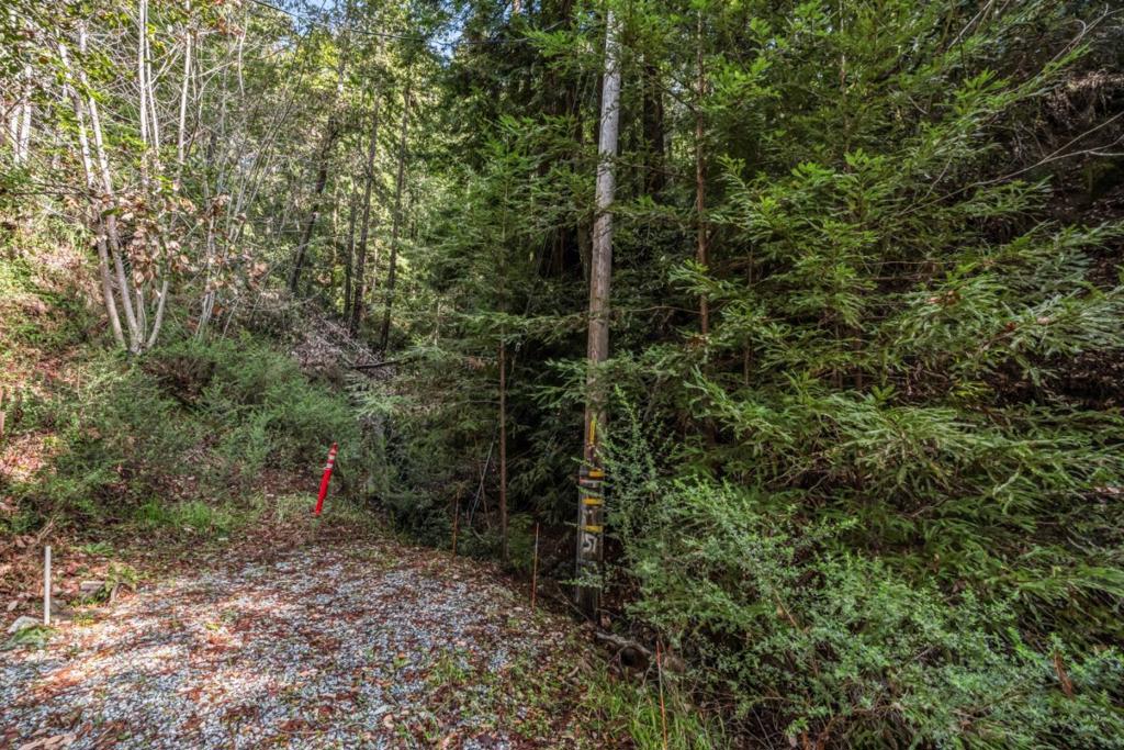 Antler Street Property Photo 1