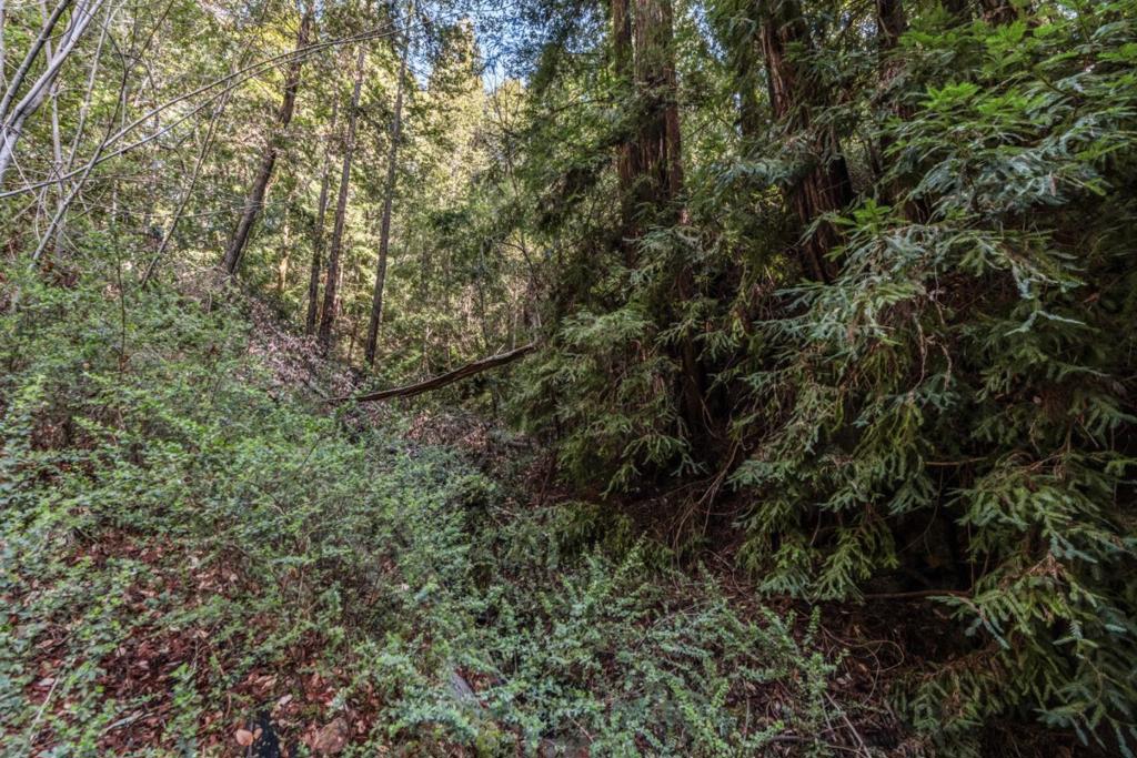 Antler Street Property Photo 3
