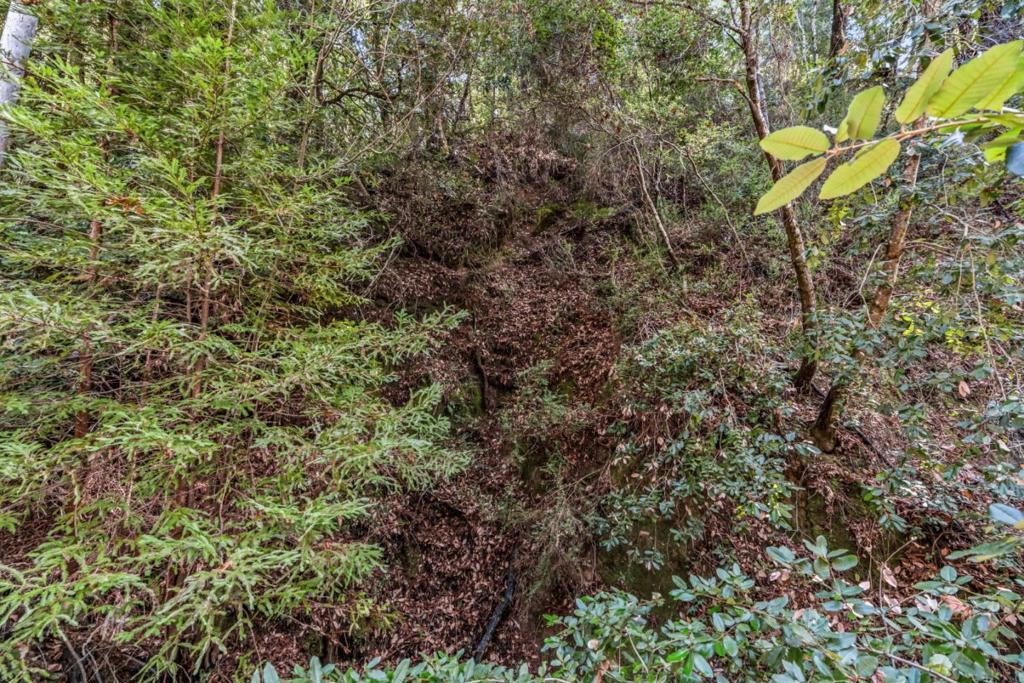 Antler Street Property Photo 4