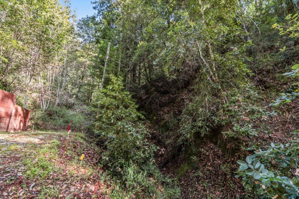 Antler Street Property Photo 5