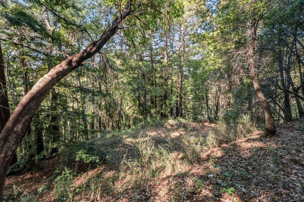Volver Avenue Property Photo 1