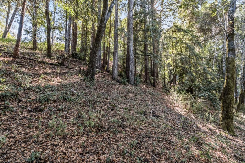 Volver Avenue Property Photo 2