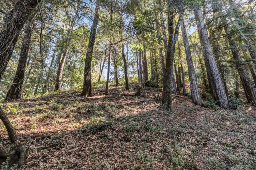Volver Avenue Property Photo 3