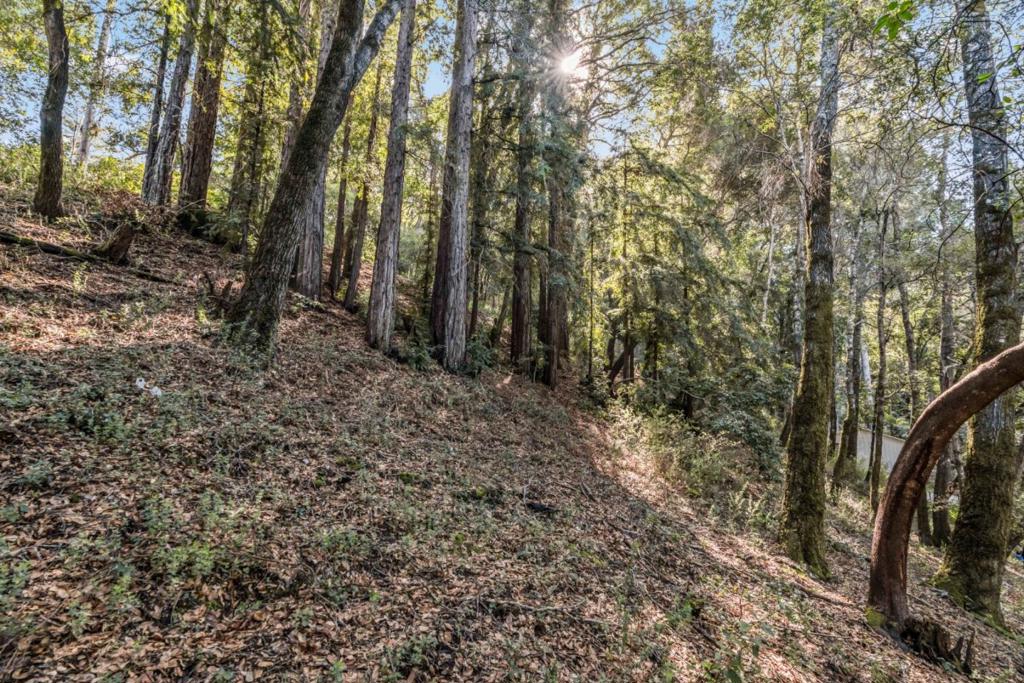 Volver Avenue Property Photo 4
