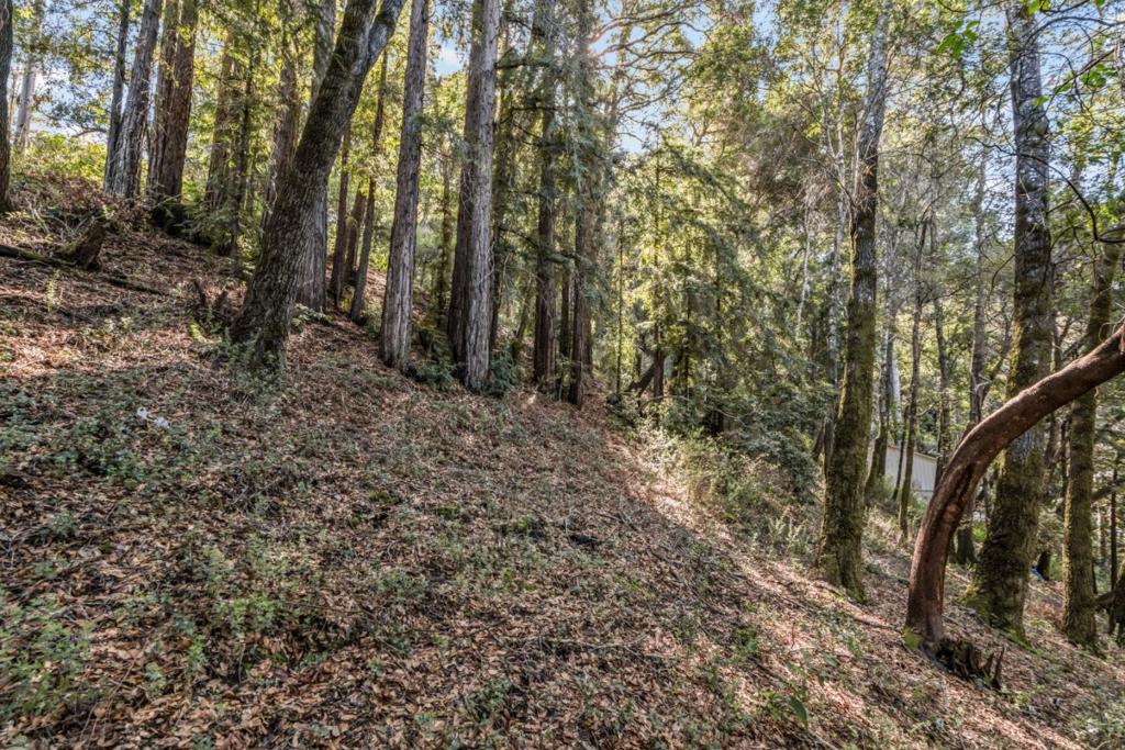 Volver Avenue Property Photo 5
